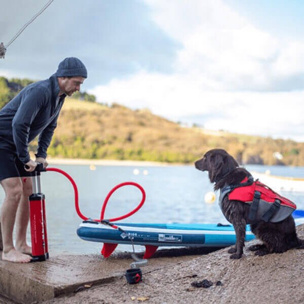 Dog Buoyancy Aid Worn By Bear the Dog